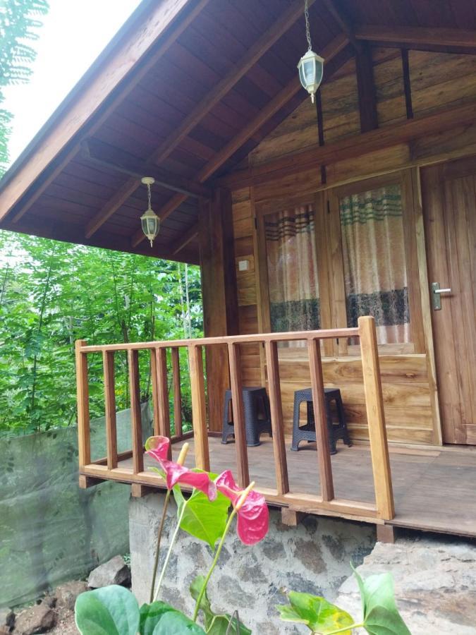 Diyaluma View Cotage Hotel Koslanda Buitenkant foto