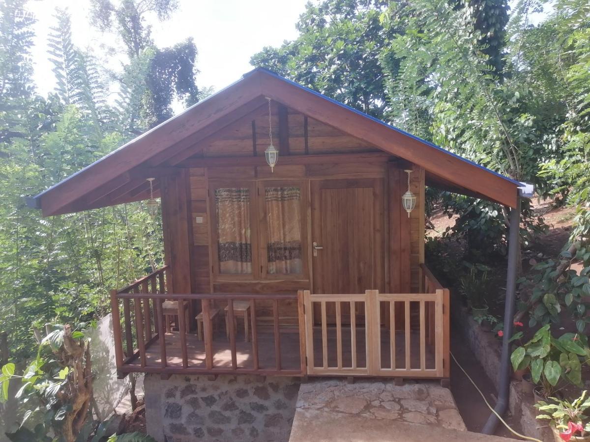 Diyaluma View Cotage Hotel Koslanda Buitenkant foto