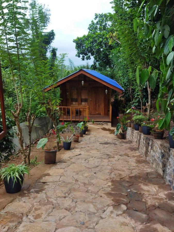 Diyaluma View Cotage Hotel Koslanda Buitenkant foto